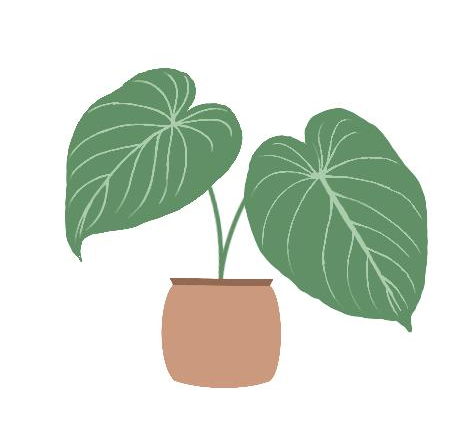 Philodendron Kategorie Icon 