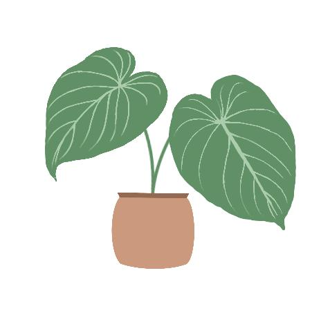 Philodendron Kategorie Icon