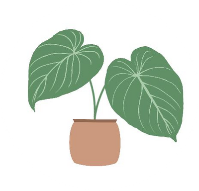 Philodendron Kategorie Icon 