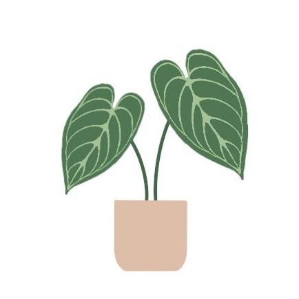 Kategorie Icon Anthurium