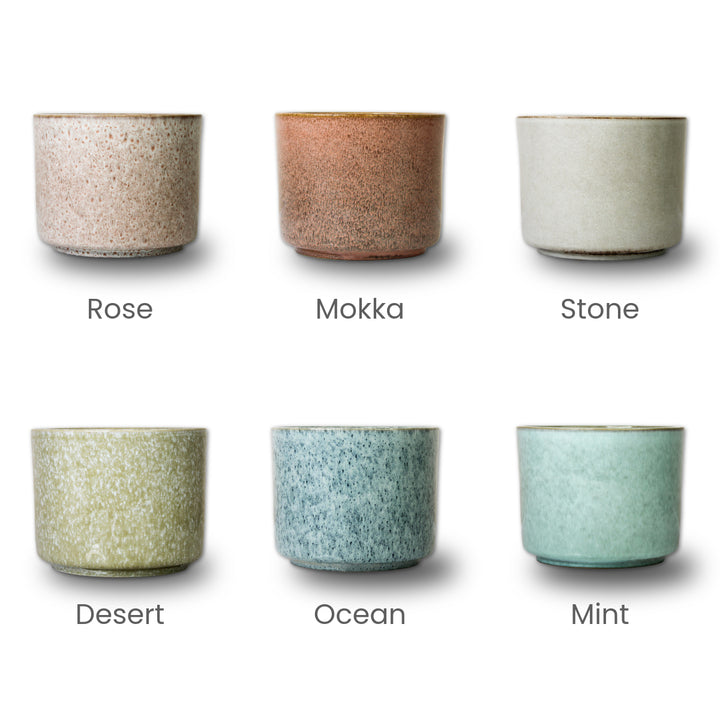 Calma Presale Set - Topf-Pflanzen 2er Kombi Foliage Dreams