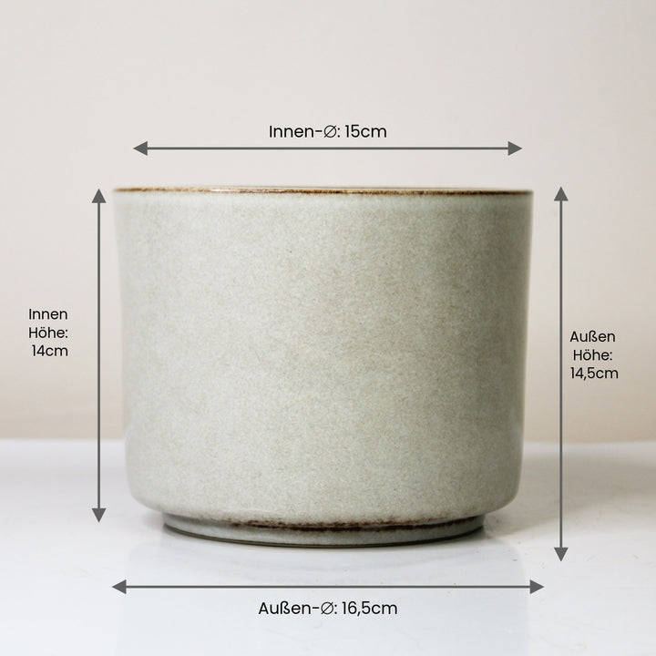 Calma Presale Set - Topf-Pflanzen 2er Kombi Foliage Dreams