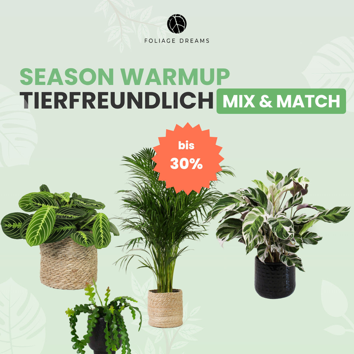 Tierfreundliche Pflanzen Mix&Match – Foliage Dreams