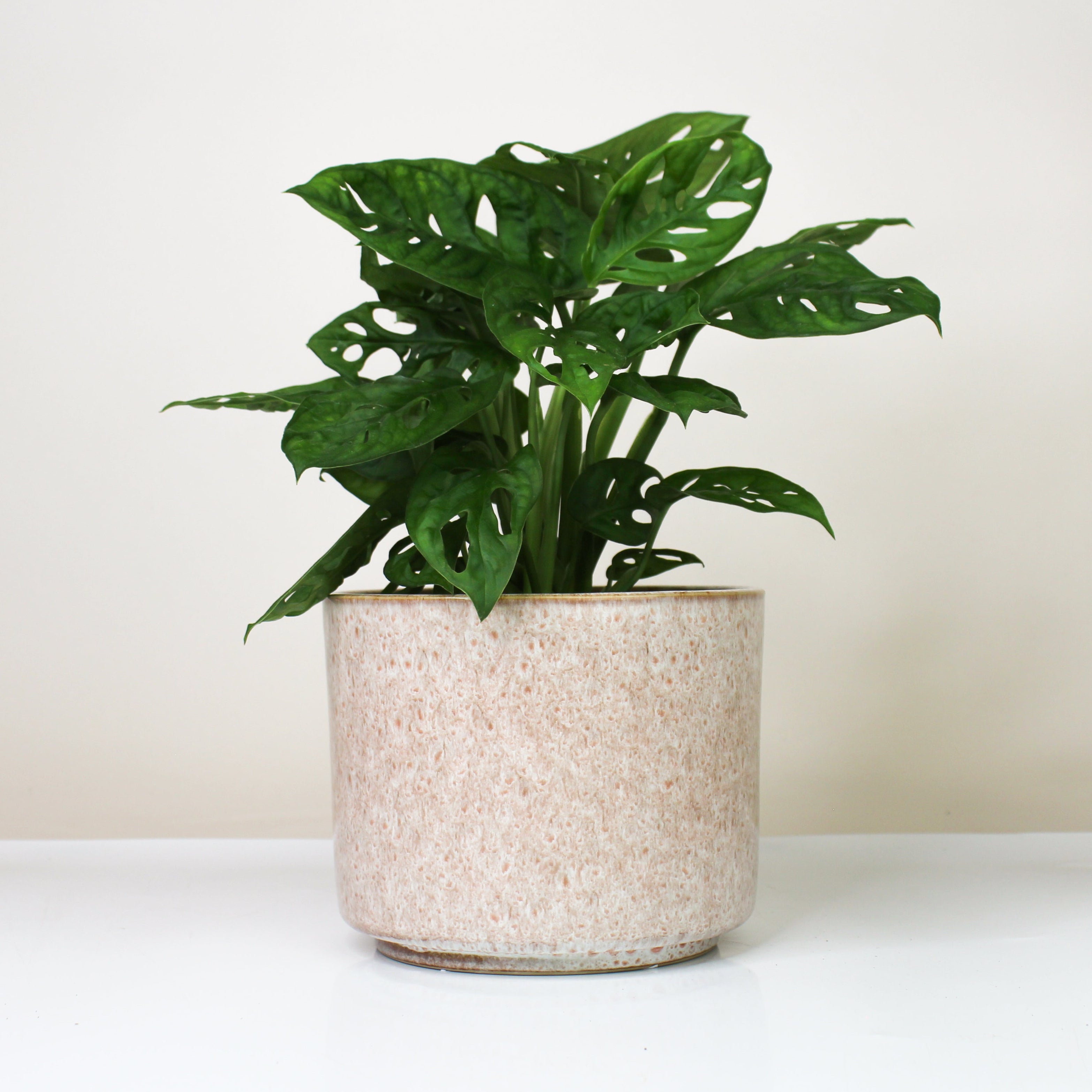 Übertopf Calma - Rose Dune | Premium Shine Glaze Foliage Dreams