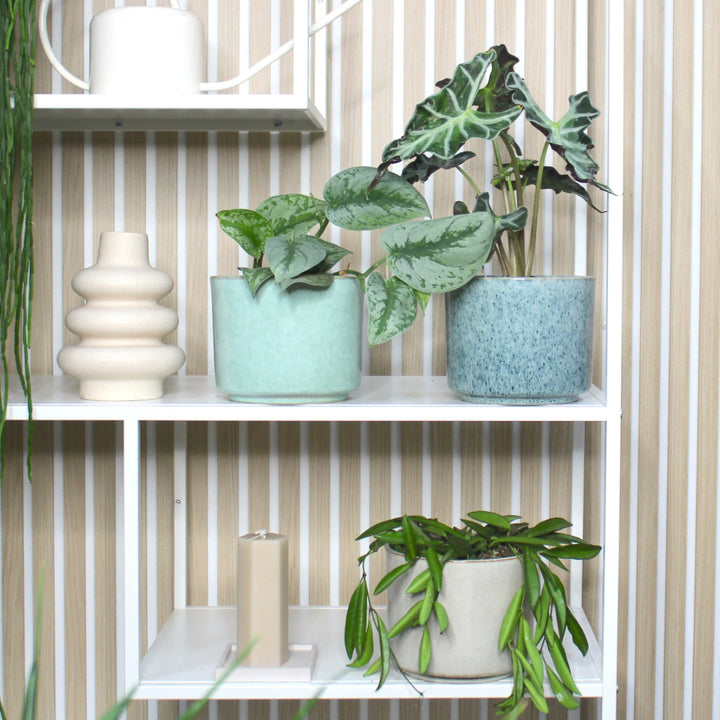 Übertopf Calma – Stone | Premium Shine Glaze Foliage Dreams