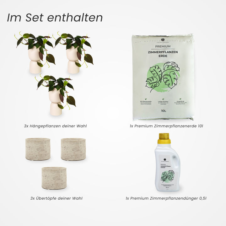 3er Hängepflanzen Set | mit Übertöpfen Foliage Dreams