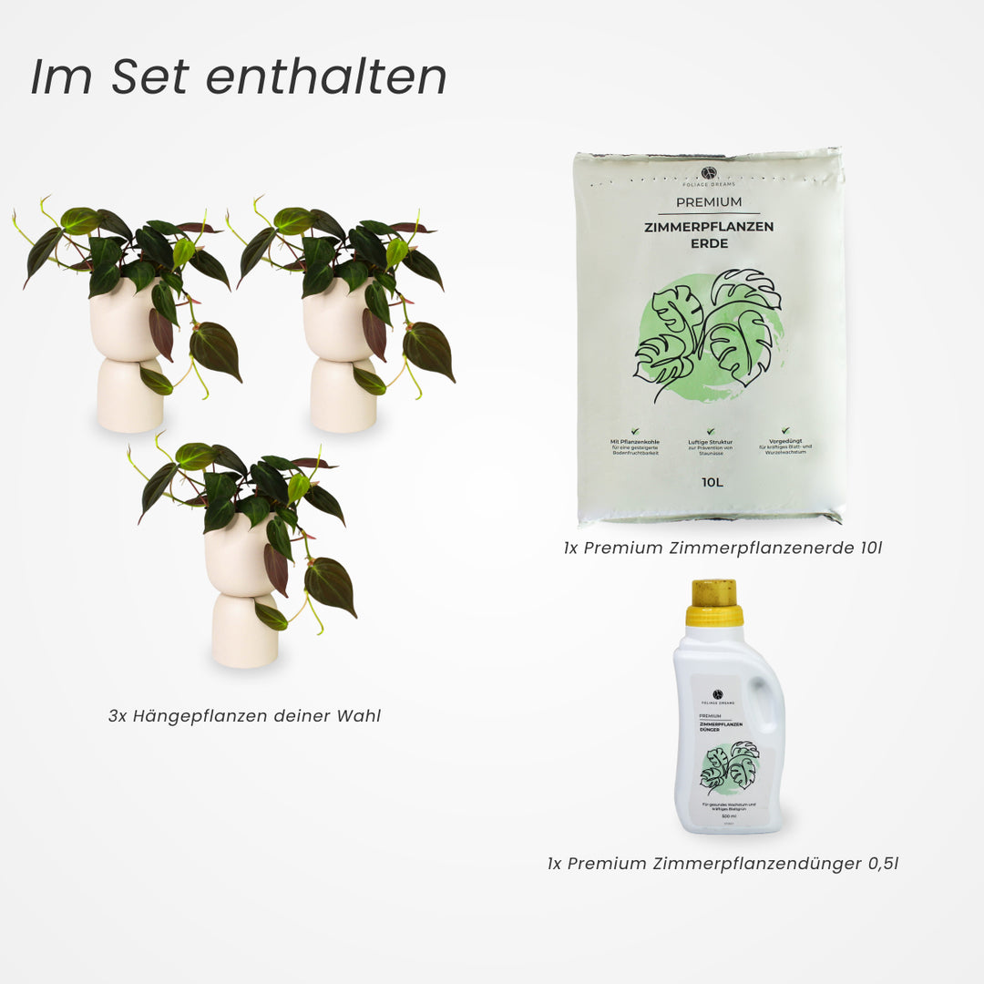 3er Hängepflanzen Set | ohne Übertöpfe Foliage Dreams