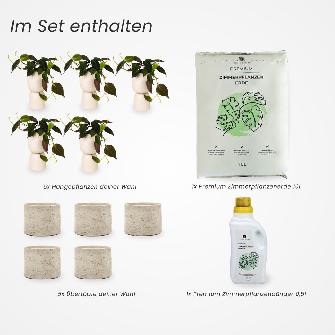 5er Hängepflanzen Set | mit Übertöpfen Foliage Dreams