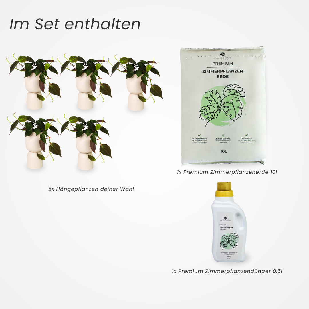 5er Hängepflanzen Set | ohne Übertöpfe Foliage Dreams