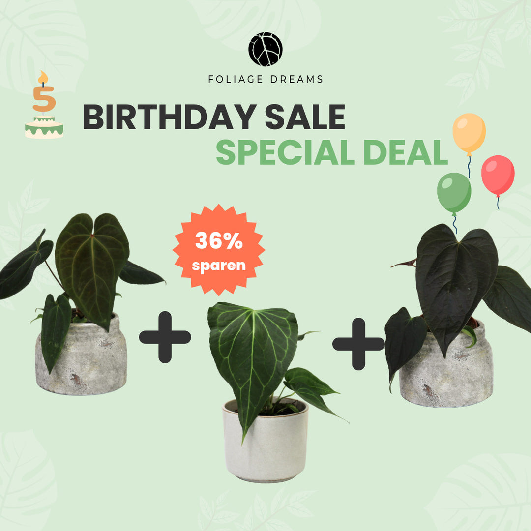 Birthday Sale Special Deal - 2 - An. Dark Phoenix + An. Queen of hearts + An. Delta Force Foliage Dreams