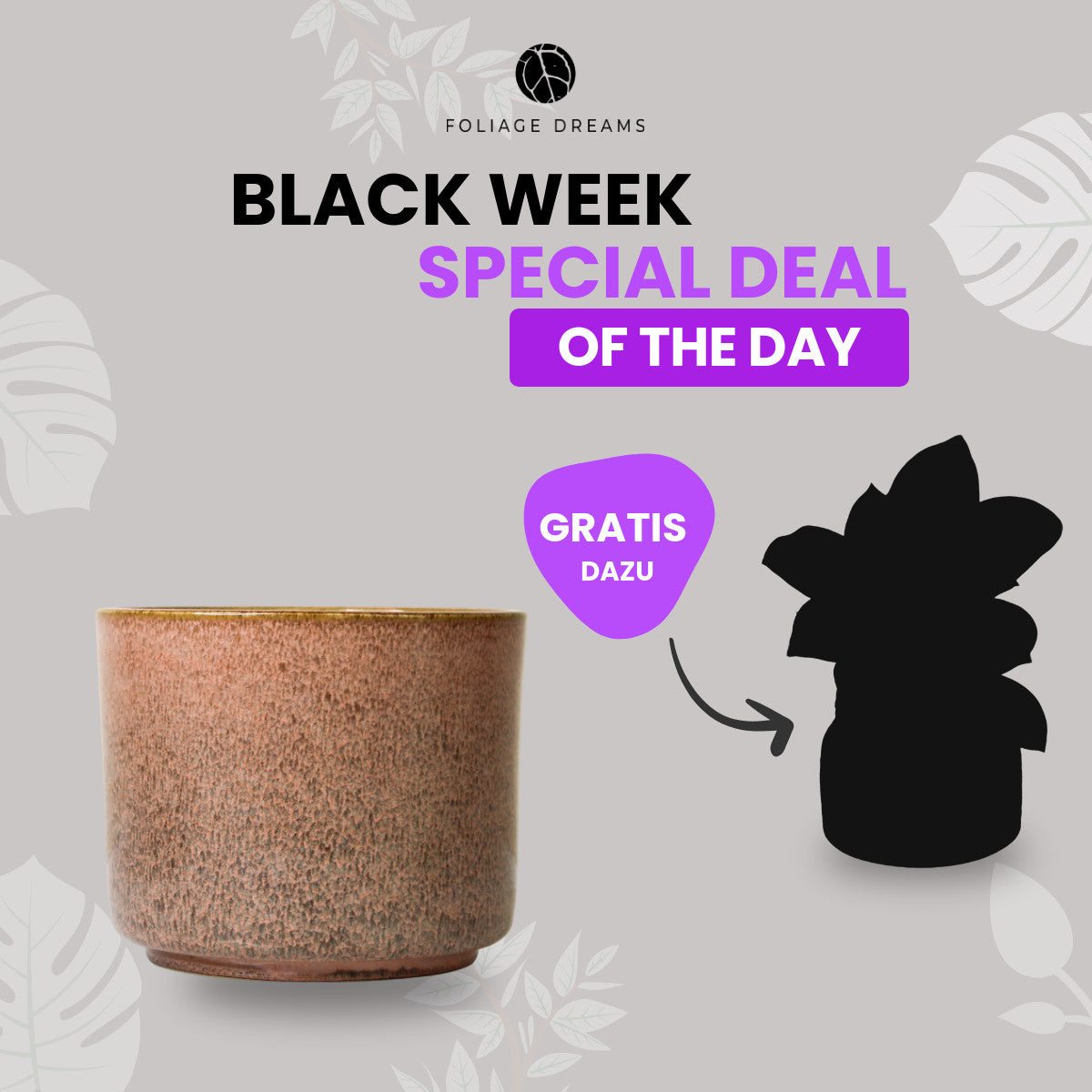 Black Week Special Deal of the Day - CALMA Übertopf + passende Überraschungspflanze Terra Foliage Dreams