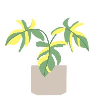 Kategorie Icon exklusive Pflanzen