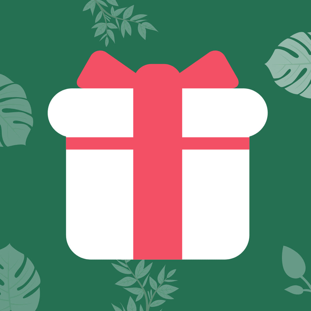 Geschenk Foliage Dreams