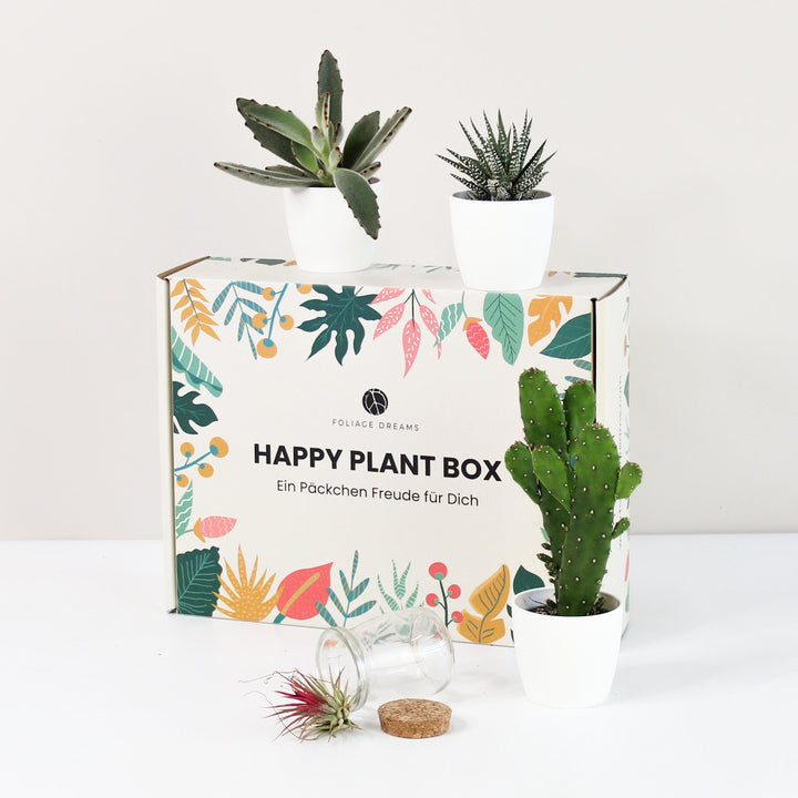 Happy Plant Box - Easy Care - Geschenk Foliage Dreams