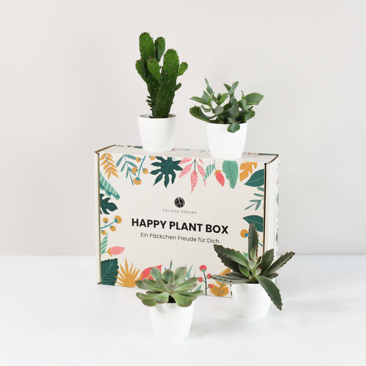 Happy Plant Box - Easy Care Jungle Foliage Dreams
