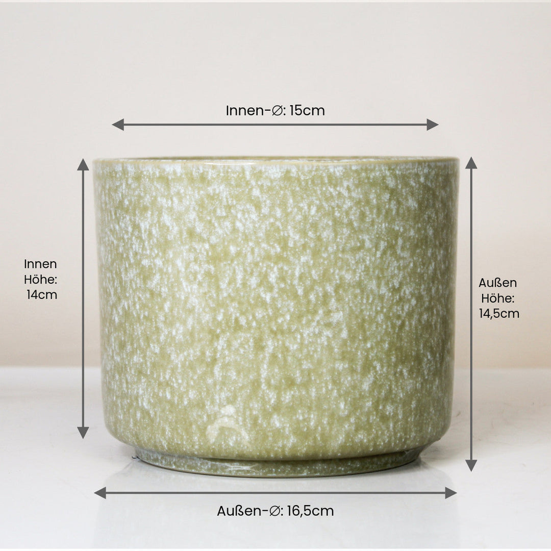 Übertopf Calma - Desert | Premium Shine Glaze Foliage Dreams